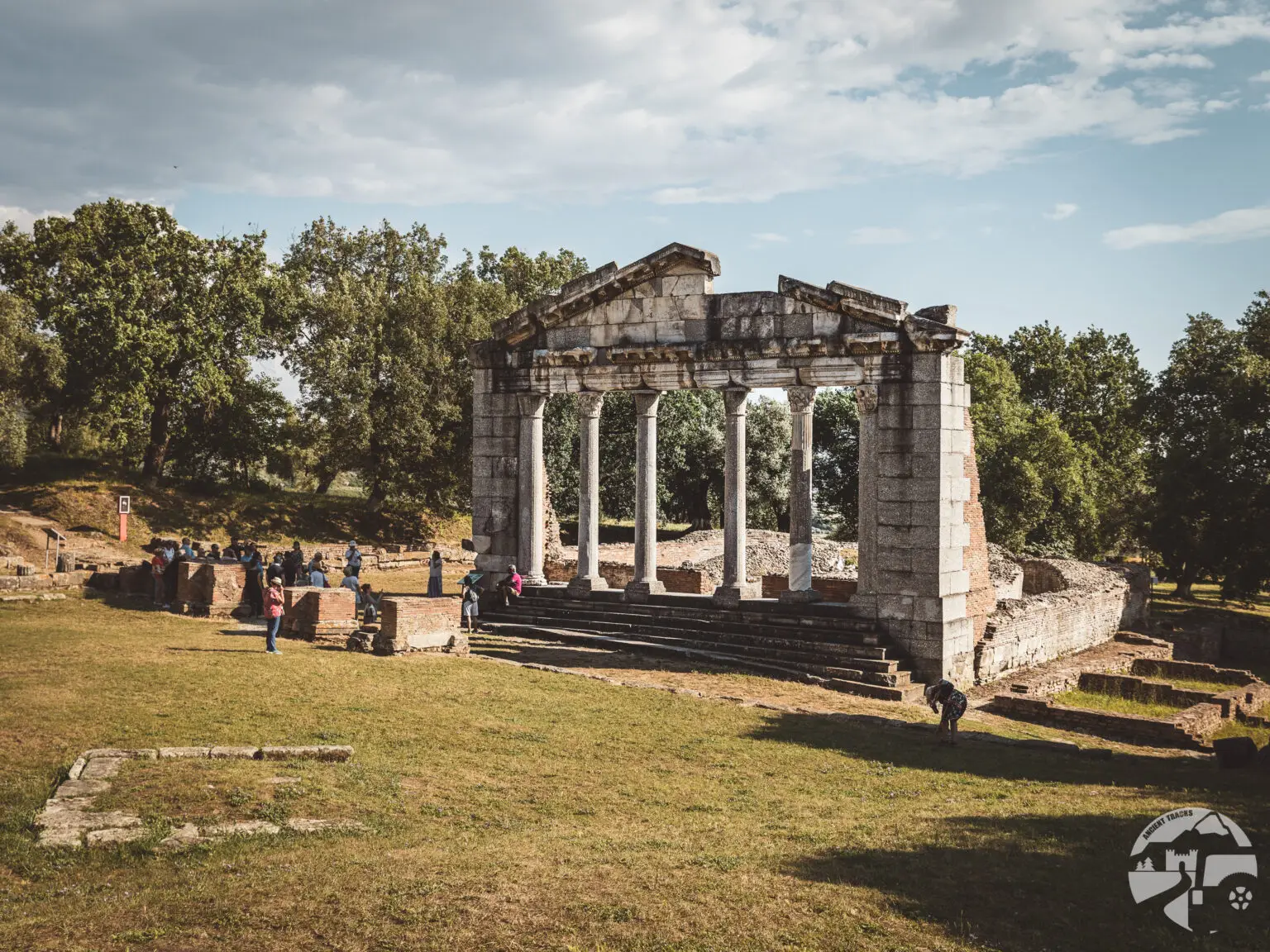 apollonia-5