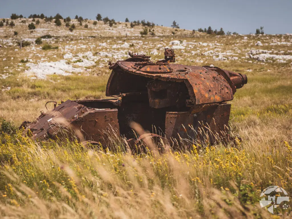 panzer_2-4