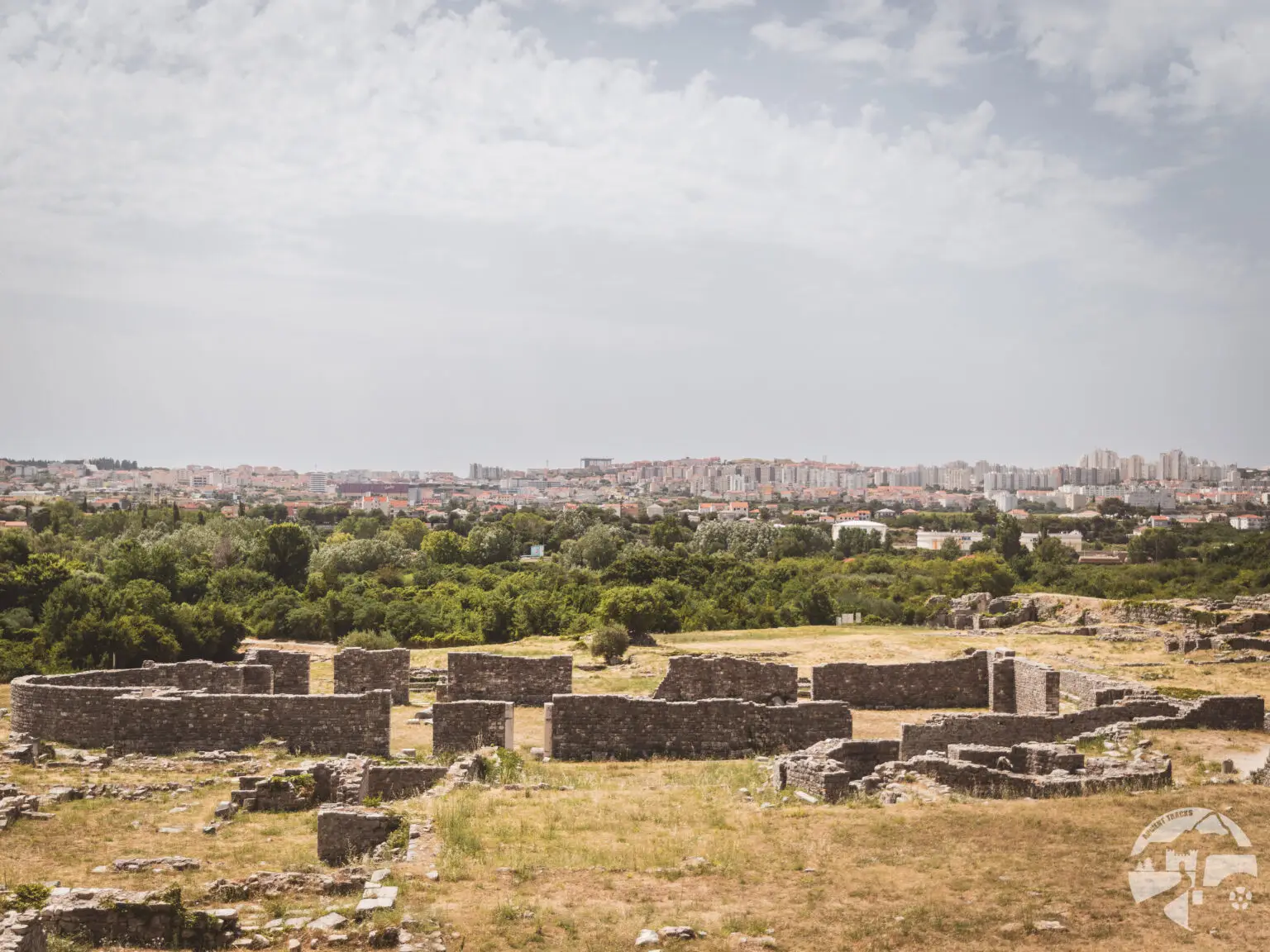 salona-2